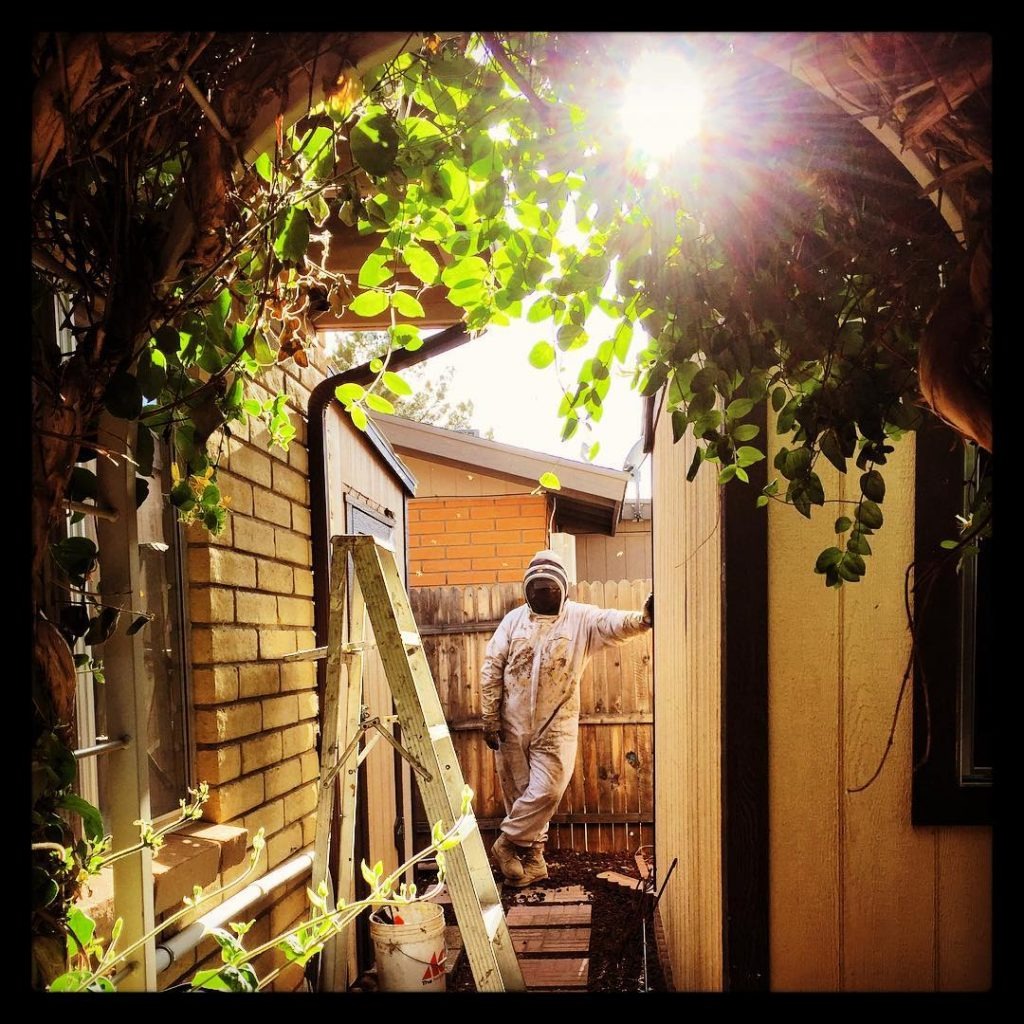 Sugarland Beekeepers quick response