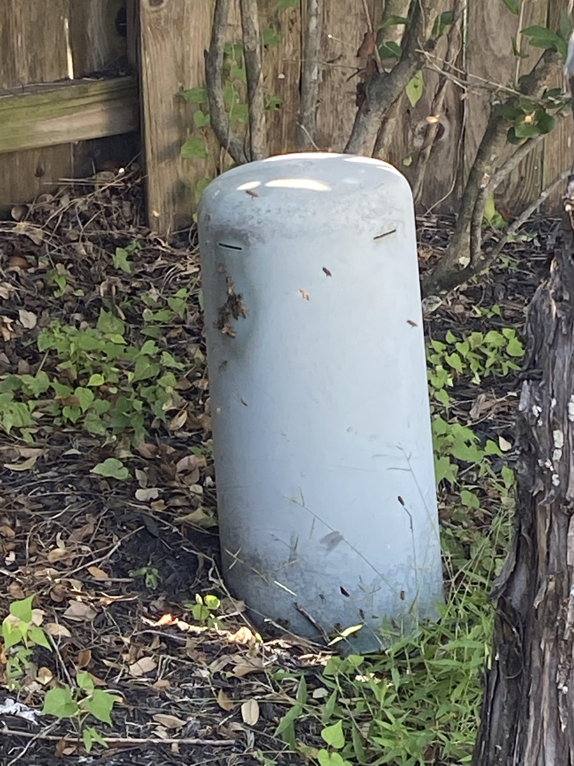 Utility Bee Removal Houston Tx